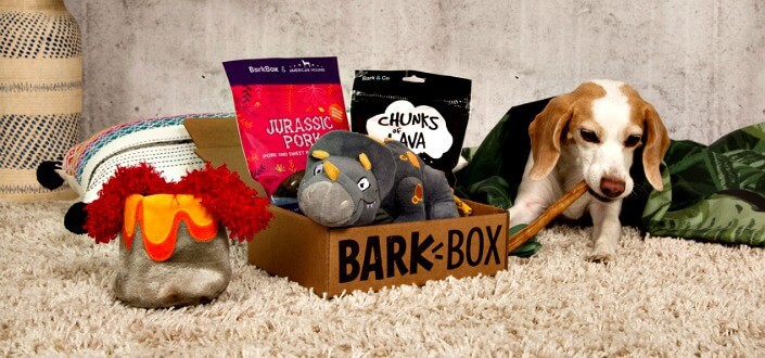 Barkbox Reviews - Is the price worth it? - The Unbox