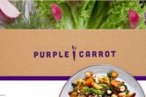 purple carrot review - featured