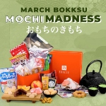 bokksu review - Mochi Madness Box