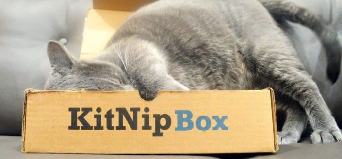 KitNipBox - KitNipBox Coupon or Promo Code