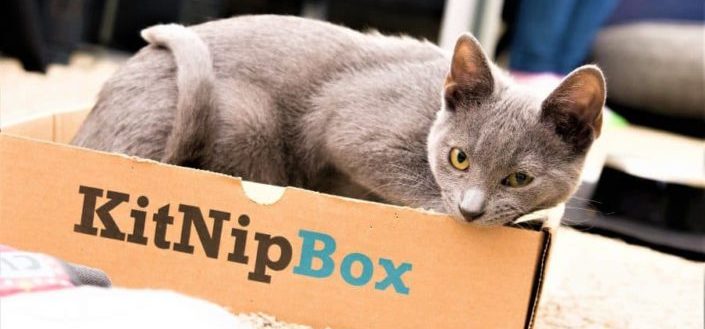 KitNipBox - Recent KitNipBox Boxes/Items