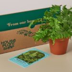 Pet-Friendly Plant Box