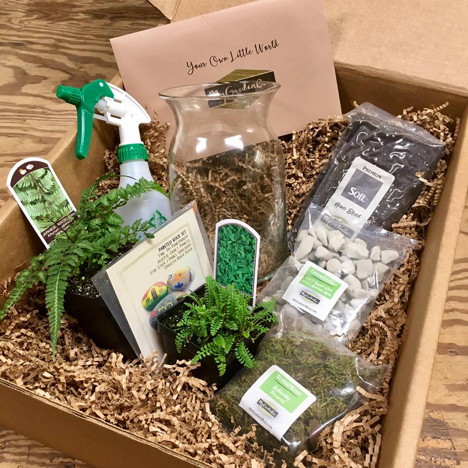 My Garden Box Review Is it a great plant subscription box?