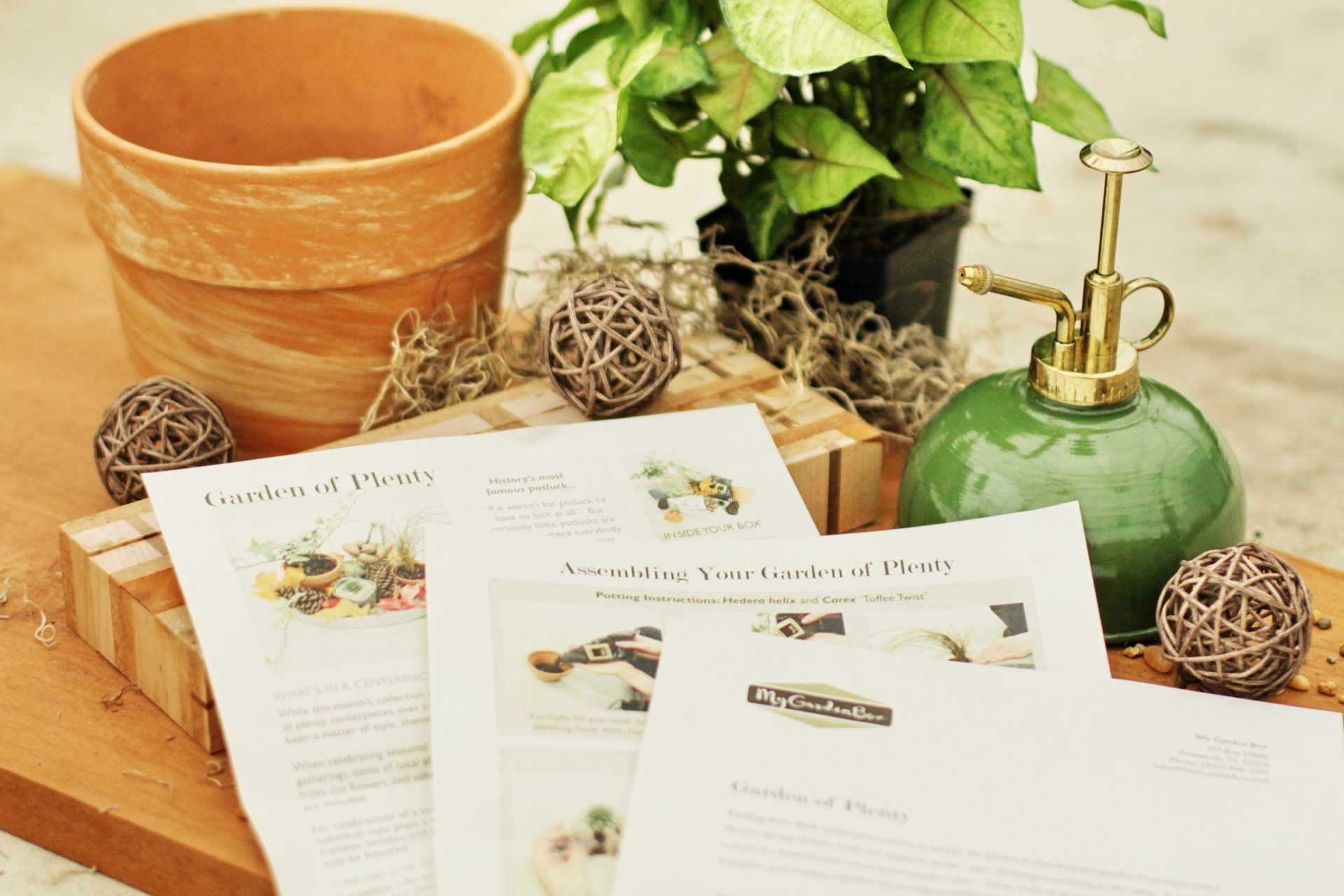 My Garden Box Review Is it a great plant subscription box?